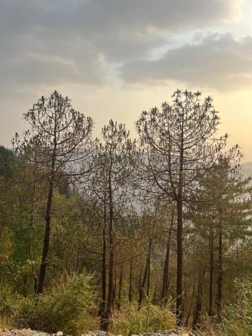 Residence Inn Homestay Shimla Exterior photo