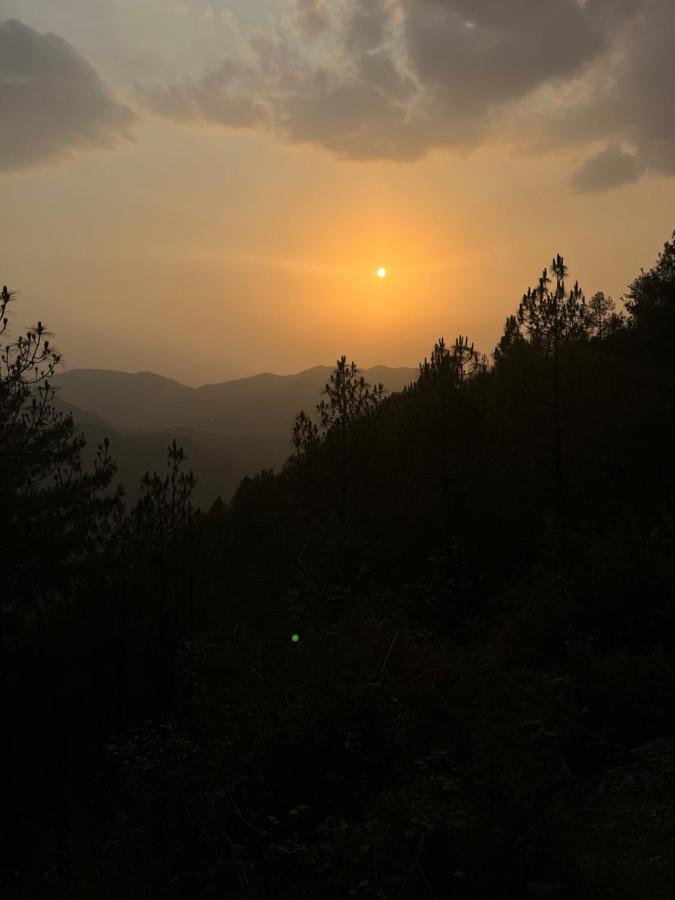 Residence Inn Homestay Shimla Exterior photo
